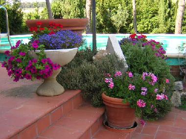 Villa in Castiglione del Lago ( Pg) (Perugia) oder Ferienwohnung oder Ferienhaus