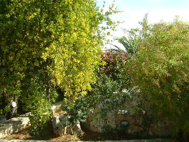 Villa in Polignano a Mare (Bari) oder Ferienwohnung oder Ferienhaus