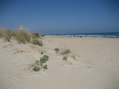 Villa in oliva (Valencia / Valncia) oder Ferienwohnung oder Ferienhaus