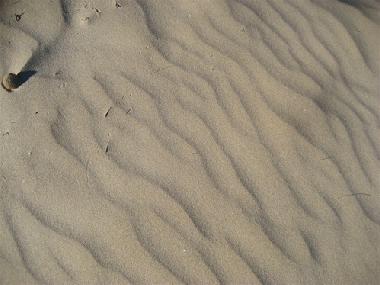 Villa in oliva (Valencia / Valncia) oder Ferienwohnung oder Ferienhaus