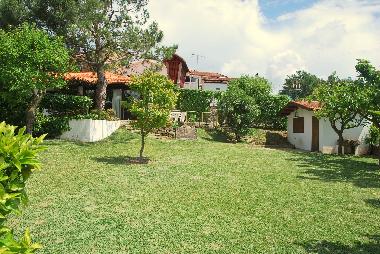Ferienhaus in Oliveira de Azemeis (Baixo Vouga) oder Ferienwohnung oder Ferienhaus