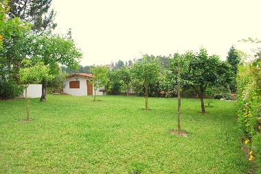 Ferienhaus in Oliveira de Azemeis (Baixo Vouga) oder Ferienwohnung oder Ferienhaus