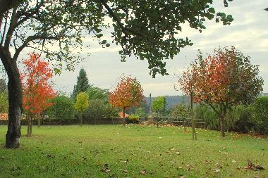 Ferienhaus in Oliveira de Azemeis (Baixo Vouga) oder Ferienwohnung oder Ferienhaus