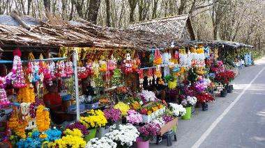 Villa in naithon (Phuket) oder Ferienwohnung oder Ferienhaus