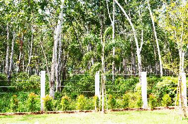 Ferienhaus in krabi (Krabi) oder Ferienwohnung oder Ferienhaus