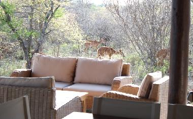 Ferienhaus in Hoedspruit (Northern Province) oder Ferienwohnung oder Ferienhaus