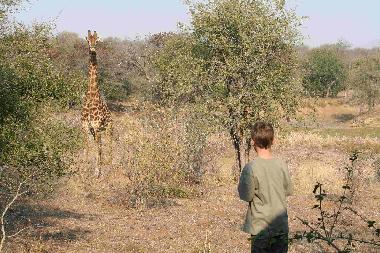Ferienhaus in Hoedspruit (Northern Province) oder Ferienwohnung oder Ferienhaus