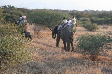 Ferienhaus in Hoedspruit (Northern Province) oder Ferienwohnung oder Ferienhaus