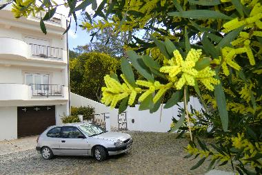 Pension in Paredes/Pataias (Pinhal Litoral) oder Ferienwohnung oder Ferienhaus