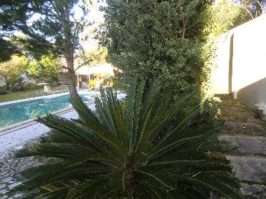 Pension in Paredes/Pataias (Pinhal Litoral) oder Ferienwohnung oder Ferienhaus