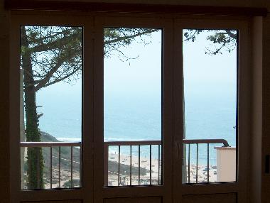 Pension in Paredes/Pataias (Pinhal Litoral) oder Ferienwohnung oder Ferienhaus