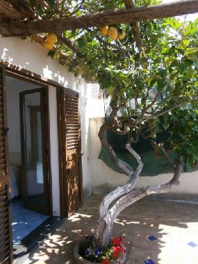 Ferienwohnung in Praiano (Salerno) oder Ferienwohnung oder Ferienhaus