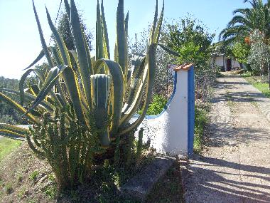 Blick von der Strasse auf das monte