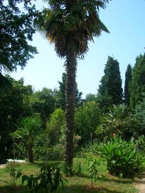 Ferienwohnung in Pula (Istarska) oder Ferienwohnung oder Ferienhaus