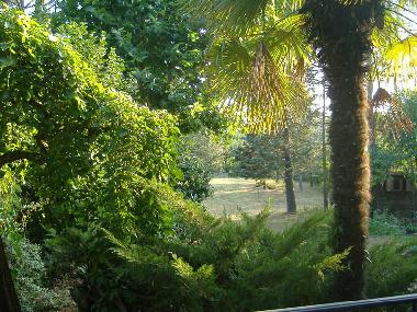 Ferienwohnung in piandisetta, Grizzana Morandi, Bologna (Bologna) oder Ferienwohnung oder Ferienhaus