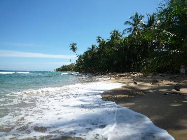 Ferienhaus in Puerto Viejo (Limon) oder Ferienwohnung oder Ferienhaus