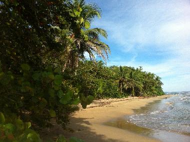 Ferienhaus in Puerto Viejo (Limon) oder Ferienwohnung oder Ferienhaus