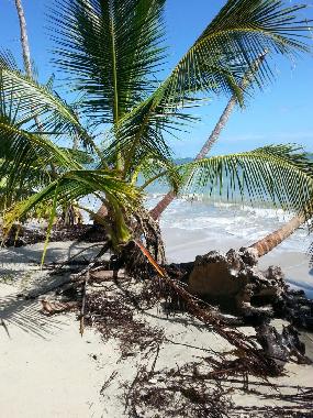Ferienhaus in Puerto Viejo (Limon) oder Ferienwohnung oder Ferienhaus
