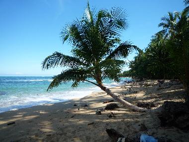 Ferienhaus in Puerto Viejo (Limon) oder Ferienwohnung oder Ferienhaus