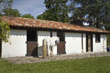 Ferienhaus in Bustio - Ribadedeva (Asturias) oder Ferienwohnung oder Ferienhaus