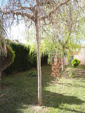 Villa in Miami Playa (Tarragona) oder Ferienwohnung oder Ferienhaus