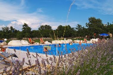 Villa in Divsici (Istarska) oder Ferienwohnung oder Ferienhaus