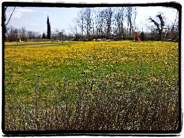 Villa in Divsici (Istarska) oder Ferienwohnung oder Ferienhaus