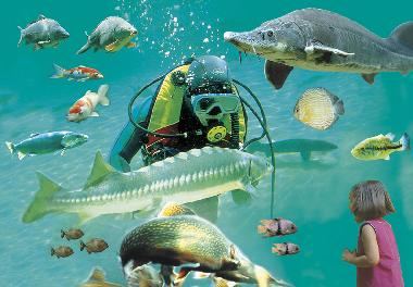 Ferienhaus in Sarlat (Dordogne) oder Ferienwohnung oder Ferienhaus