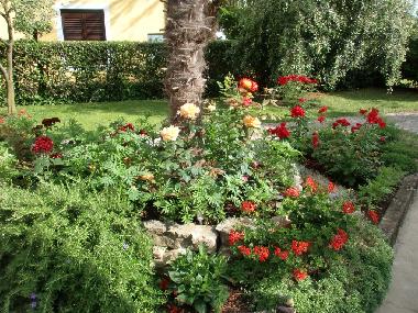 Ferienwohnung in Umag (Istarska) oder Ferienwohnung oder Ferienhaus