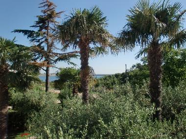 Ferienwohnung in Umag (Istarska) oder Ferienwohnung oder Ferienhaus