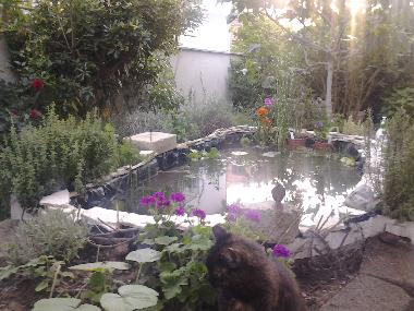 Boot in rom (Roma) oder Ferienwohnung oder Ferienhaus