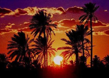 Ferienhaus in sidi yati (Madanin) oder Ferienwohnung oder Ferienhaus