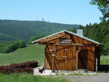 Blick zum Inselsberg 916m