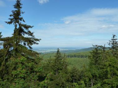 Blick in die Natur