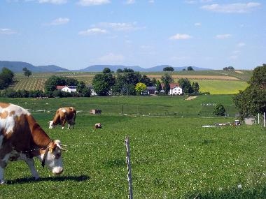 Unser Haus: ein ehemaliger Aussiedlerhof zwischen Wiesen, Feldern und Reben
