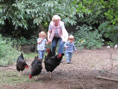 Nicht handzahlm, aber zutraulich genug um die Hhner im Hhnergarten zu besuchen. Die Kinder sind be