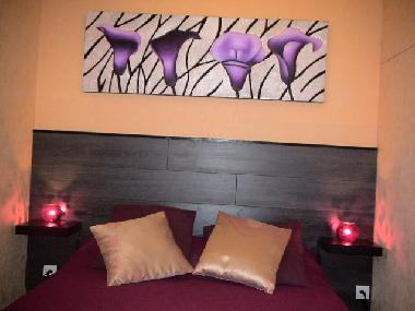 Ferienhaus in Saint Antonin/LORGUES (Var) oder Ferienwohnung oder Ferienhaus