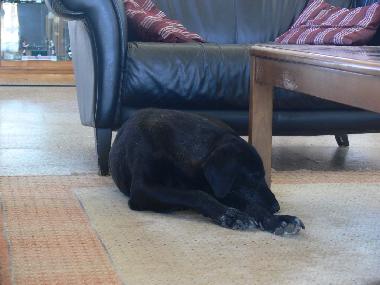 Pension in Vimieiro (Alentejo Central) oder Ferienwohnung oder Ferienhaus