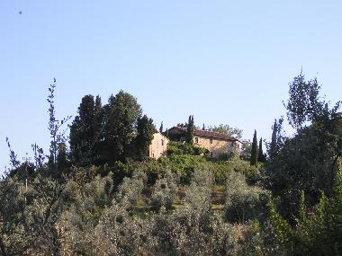 Ferienwohnung in Montaione - Localit San Vivaldo (Firenze) oder Ferienwohnung oder Ferienhaus