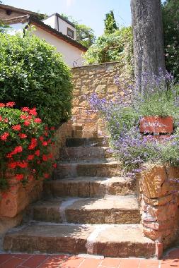 Ferienwohnung in Montaione - Localit San Vivaldo (Firenze) oder Ferienwohnung oder Ferienhaus
