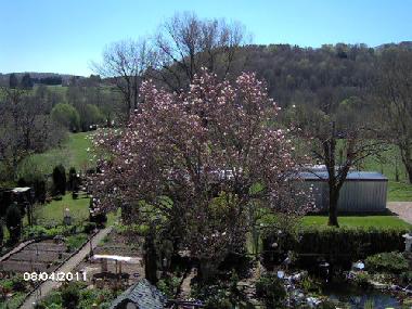 Ferienwohnung in Nohfelden (St. Wendel) oder Ferienwohnung oder Ferienhaus