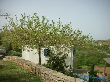 Ferienhaus in Otzias (Kyklades) oder Ferienwohnung oder Ferienhaus