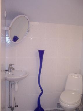 Ferienhaus in Riga (Lettland) oder Ferienwohnung oder Ferienhaus