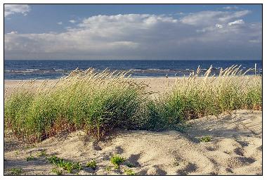 Ferienhaus in Riga (Lettland) oder Ferienwohnung oder Ferienhaus