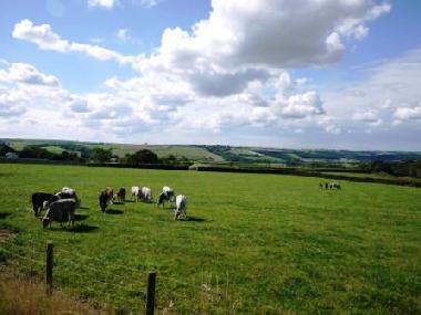 Ferienwohnung in South Molton (South West) oder Ferienwohnung oder Ferienhaus