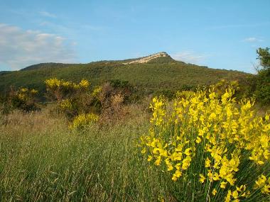 Wandern im Umgebung neben das Haus.