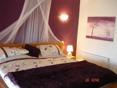 Ferienhaus in Chernookovo (Dobrich) oder Ferienwohnung oder Ferienhaus