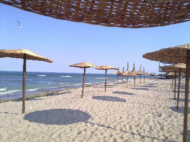 Ferienhaus in Chernookovo (Dobrich) oder Ferienwohnung oder Ferienhaus