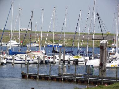 Segelbote im Jachthafen