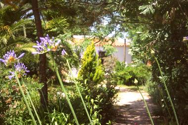 Ferienhaus in Zambujeira do Mar (Alentejo Litoral) oder Ferienwohnung oder Ferienhaus